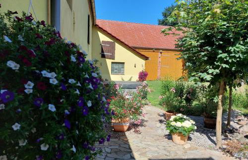 Ferienhaus Alte Schmiede - weites Land - Foto 31