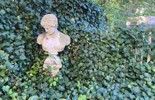 Historisch Pand - Foto 16