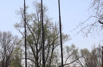 Appartamenti "Venice" - Foto 52