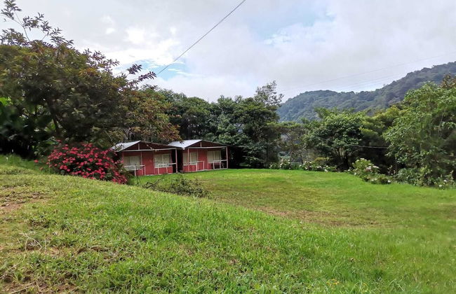 Millar de Aves - Foto 1