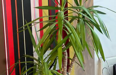 K D Tower Lux Apartment - Foto 8