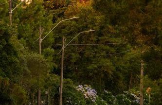 CHALÉ DOS ALPES VERDES - Foto 28