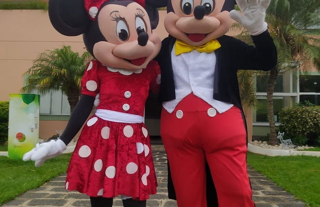 Hotel Fazenda Brisa Itu - Photo 27