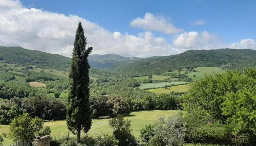 MIMOSA at Pietraie a nice studio with terrace on the Valley - Foto 5, Garden view