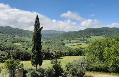 PERGOLA at Le Pietraie a cottage with many flowers - Foto 14