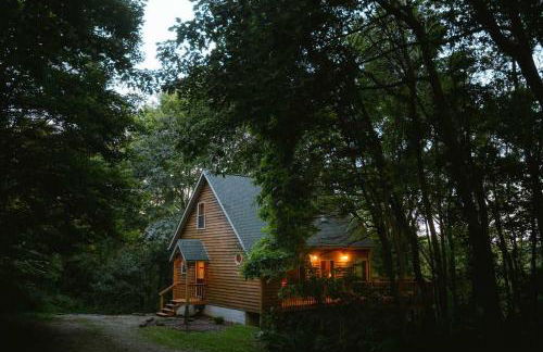 Cheerful Two Bdrm Cabin with Hot Tub & Pet Friendly - Foto 44