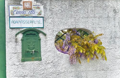 Adamasseria - Foto 63