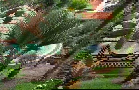 Ever Dreamed of staying in a 3 Bedroom Castle SDV044B - By Samui Dream Villas - Photo 50