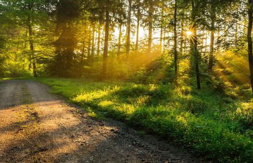 Franzenhof Markhart - Photo 44