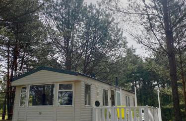 Holenderki na Zielonych Wzgórzach, Łowyń - Foto 26