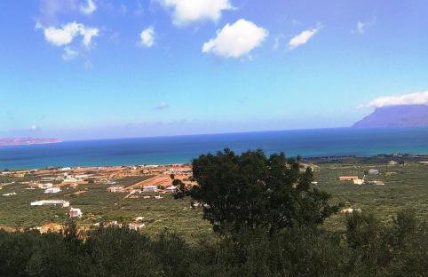 OLIVE BREEZE - Photo 2