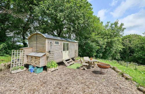 Host & Stay - Dipple Farm Shepherds Hut - Foto 17