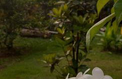 Boutique Beach Chalet, Luzimares, Serra Grande-BA - Foto 28