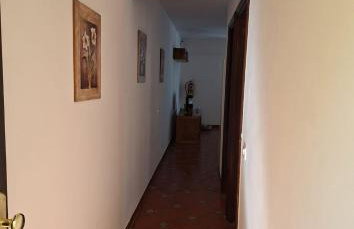 Amanecer 9 - Foto 15