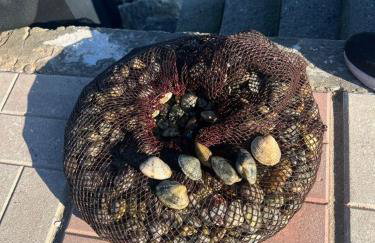 Makrygialos-Atlantis - Photo 68