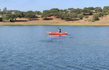 Herdade Terra rica - Photo 50
