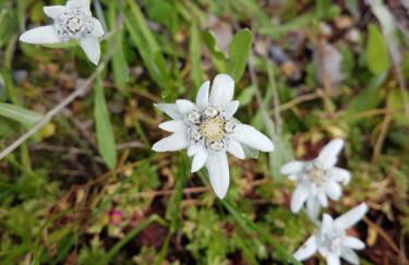 Villa Otto - Foto 22