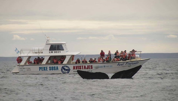 Valdes Peninsula Day Trip - Foto 4