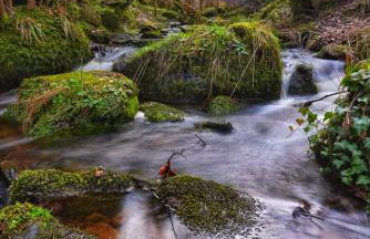 Ferienwohnung am Enzufer mit Balkon in Bad Wildbad im Schwarzwald - Foto 35
