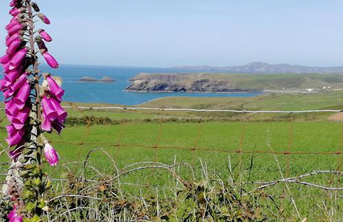 Ty Gwennol St Davids - Photo 17