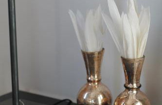 Junior Suite The Backyard TBY 01 - Foto 8