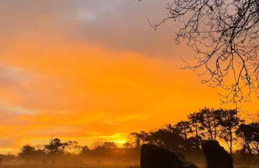 Maison de Bourg en Pierre au cœur de Plouharnel - Foto 19