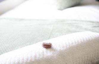 Calgary House - Foto 6