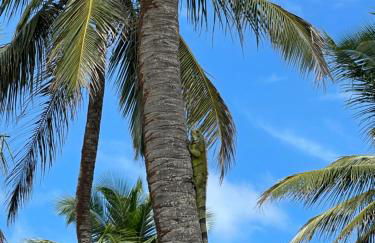 Vila Hillia - Preá, CE - Foto 33