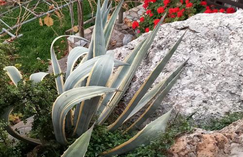 Elis superb villa - Foto 48