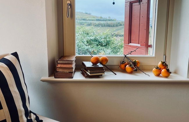 Corte Massimago - Foto 22