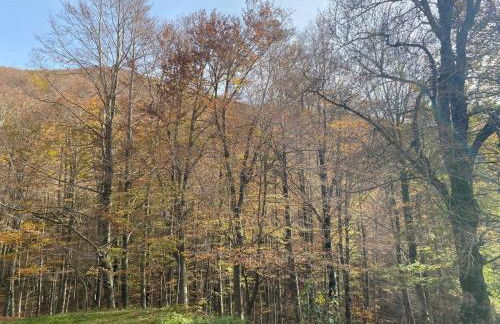 La casa nel bosco-Val Granara guesthouse - Foto 28