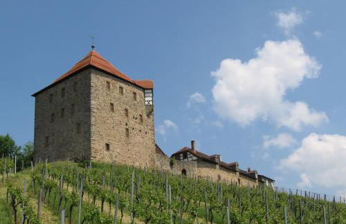 Gästeapartments Haus Kohler - Foto 65