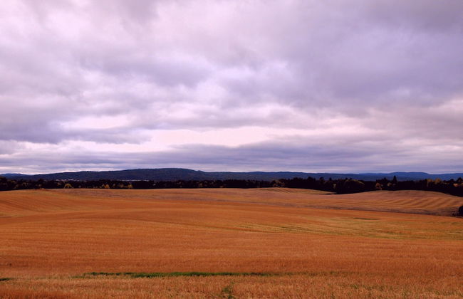 Bedder at Oslo Airport - Foto 40