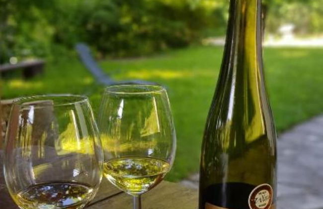 Mountain Pearl Velebit - Foto 25