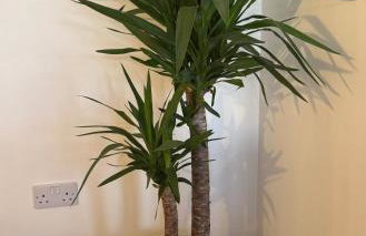 Turnpike House - Foto 25