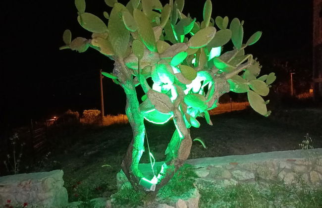 Hayela Bungalov Otel ve Restaurant - Foto 34