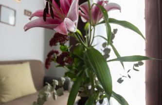 Casa del siglo XVII - Foto 37