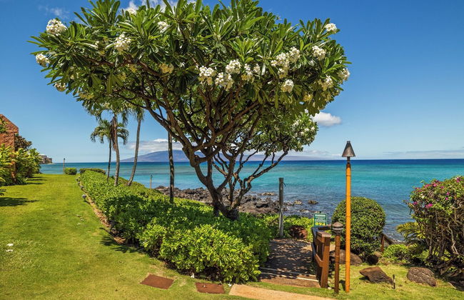 Kuleana Club - 210 - Foto 55