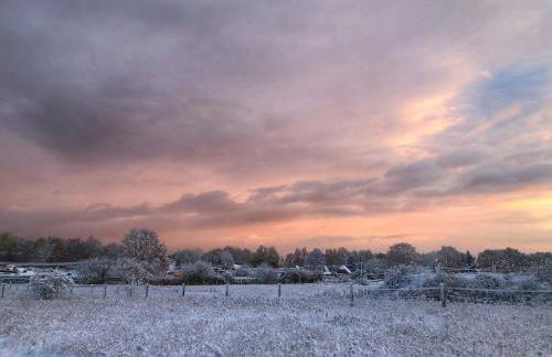 Meridiamus 1 - Ferienhäuschen in Boddennähe - Foto 17