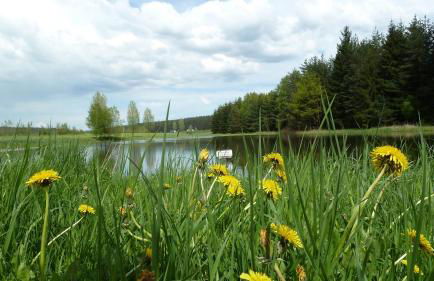 Ferienwohnung Bradsch - Foto 15