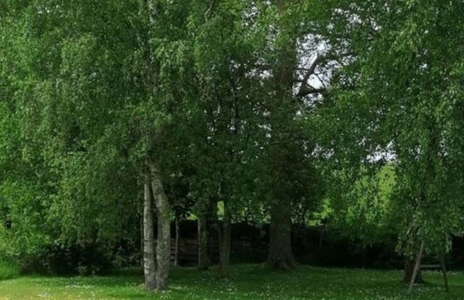 Slanitz Modern Retreat - Foto 14