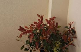 Loft Mariola - Apartamento en el centro histórico - Foto 48