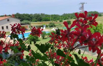 Moratto's Apartments - Foto 1