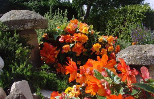 Brookleys - Photo 22