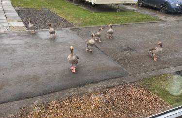 Haggerston Castle 6 Berth Caravan - Lakeside North 23 - Foto 21