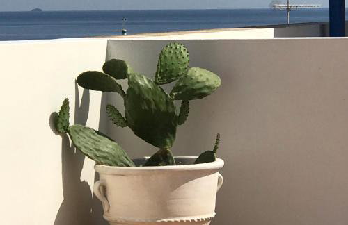 Volta Superior Studios - Foto 9