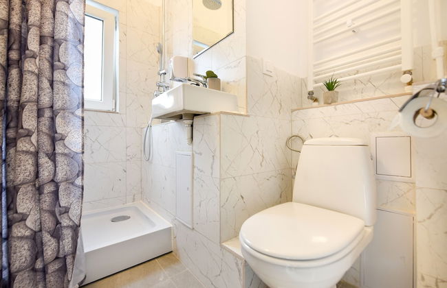 Homey - Bulevardul Carol 1 no. 45 - Foto 59