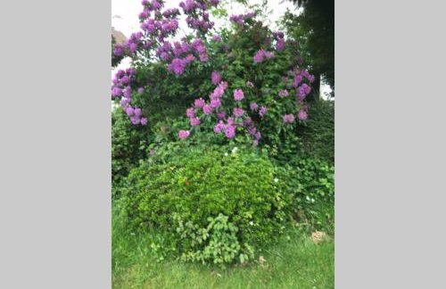 Lovely 3 Bed House Close to Carlyon Bay Beach! - Foto 4