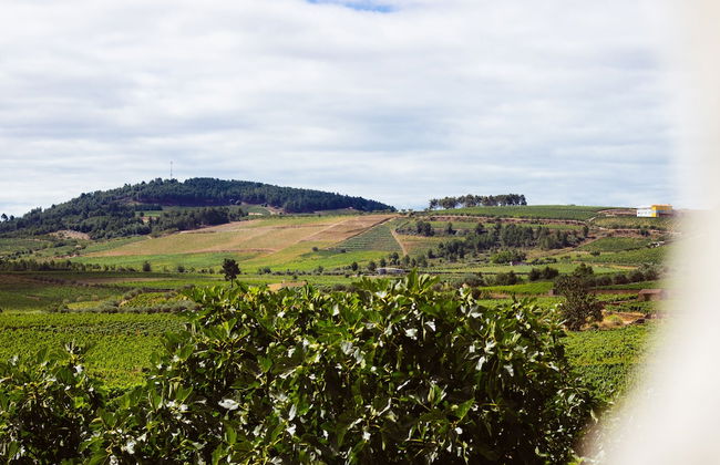 Casa Darcã - Foto 47