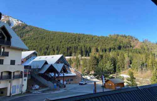 Poutran 2, studio 4 personnes au pied des pistes avec grande terrasse - Foto 14